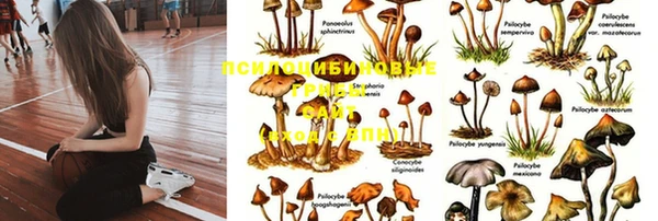 MESCALINE Алексеевка