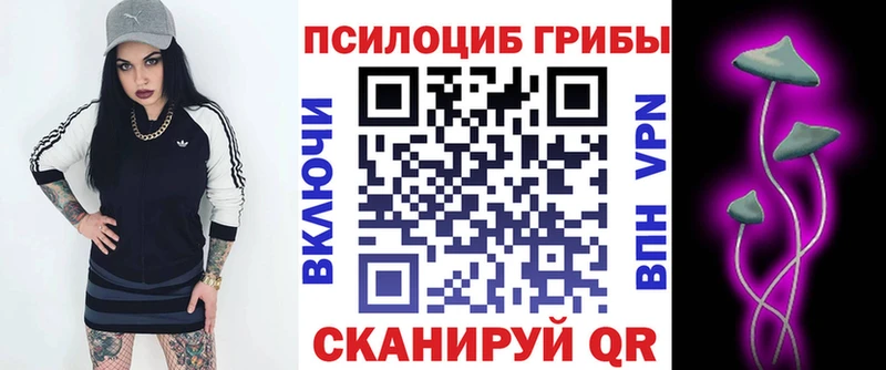Галлюциногенные грибы мухоморы  купить наркотик  Салехард 